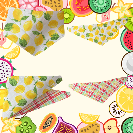 Lemon Spring Print Snap On Bandana