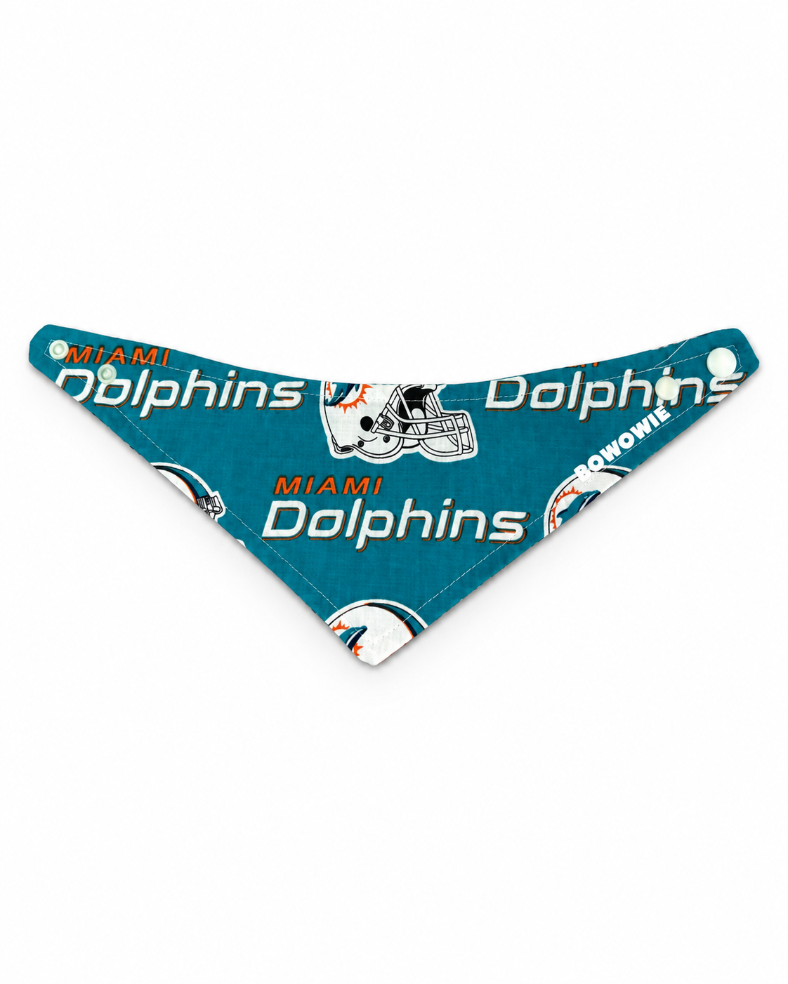 THE MIAMI DOLPHINS