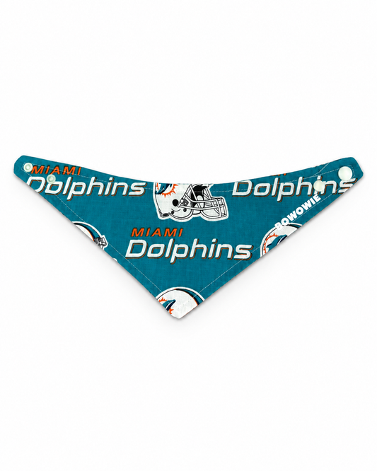 THE MIAMI DOLPHINS