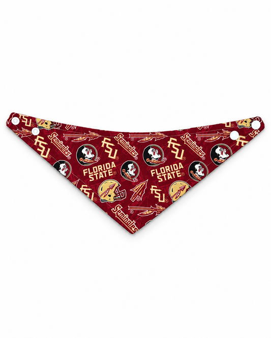 THE FLORIDA STATE UNIVERSITY