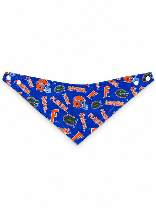 UNIVERSITY OF FLORIDA